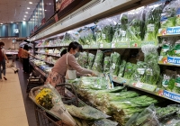 Giá nhiều loại rau củ quả Đà Lạt có dấu hiệu tăng