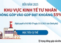 Đến năm 2025, khu vực kinh tế tư nhân đóng góp vào GDP đạt khoảng 55%