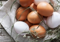 Bối rối sắc màu vỏ quả trứng gà: nâu tốt hay trắng tốt?