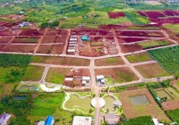 Lâm Đồng bỏ cấm phân lô, tách thửa đất nông nghiệp