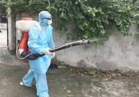 Nguy cơ bùng phát dịch bệnh tay chân miệng và sốt xuất huyết tại TP.HCM