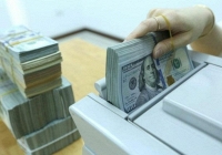 Tỷ giá USD hôm nay 23/6: Tăng nhẹ trở lại