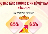 Dự báo lạc quan về tăng trưởng kinh tế Việt Nam 2023