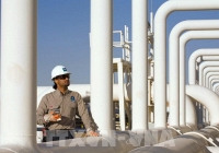 Giá gas hôm nay 31/7: Tăng nhẹ