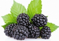 7 loại quả giàu canxi giúp trẻ tăng chiều cao