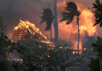 5 điều cần biết để bắt đầu ngày mới (14/8)