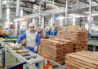 Mỹ gia hạn kết luận điều tra lẩn tránh thuế với tủ gỗ từ Việt Nam