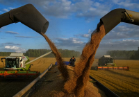 G20 kêu gọi xuất khẩu ngũ cốc Ukraina để giảm lạm phát