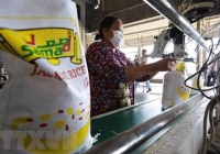 Giá gạo 5% tấm của Việt Nam giảm xuống mức thấp nhất trong một tháng