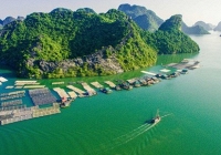 Quần thể Vịnh Hạ Long-Quần đảo Cát Bà là Di sản Thiên nhiên Thế giới
