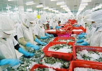 Đà giảm xuất khẩu thủy sản chậm lại