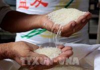 Dự báo xuất khẩu quý cuối của năm sẽ khởi sắc