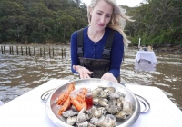 Nông dân nuôi hàu Úc đặt cược vào du lịch