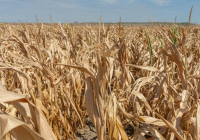 Các hiện tượng thời tiết cực đoan có thể khiến nền kinh tế toàn cầu thiệt hại 5.000 tỷ USD