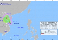 Áp thấp nhiệt đới đã mạnh lên thành bão số 5