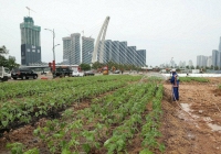 Người dân TP.HCM có thêm điểm vui chơi giải trí ven sông dịp Tết