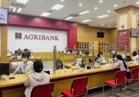 Nhóm Big4 ngân hàng tiếp tục hạ lãi suất