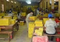 Một công ty vàng mã thu về 2 tỷ đồng mỗi ngày