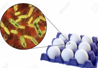 Những thực phẩm có nguy cơ nhiễm khuẩn salmonella cao, cần thận trọng khi tiêu thụ dịp Tết