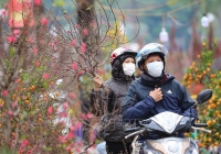 Thời tiết Tết Nguyên đán: Bắc Bộ và Bắc Trung Bộ trời chuyển rét trước Giao thừa