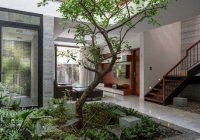 Nội thất xanh - xu hướng thiết kế được ưa chuộng nhất năm 2024