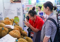 Trung Quốc 'bùng nổ' nhập khẩu sầu riêng từ Việt Nam