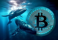 Cá voi Bitcoin mới xuất hiện trong thế giới doanh nghiệp