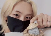 Giới trẻ Hàn Quốc phát cuồng 'nuôi' đá làm thú cưng