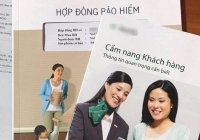 Doanh thu bảo hiểm nhân thọ giảm 4 quý liên tiếp