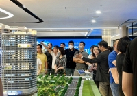 Chung cư và nhà đất giao dịch tăng trở lại, dấu hiệu thị trường bất động sản dần 'ấm'