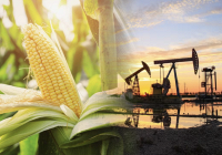 Đầu tư hàng hóa nhóm nông sản đạt mức kỷ lục