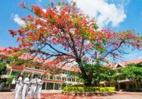 Lịch nghỉ hè 2024 chính thức của học sinh 63 tỉnh, thành cả nước