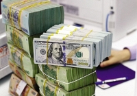 Giá USD hôm nay 15/5: Giảm giá trước khi công bố lạm phát Mỹ