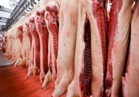 Trung Quốc điều tra chống bán phá giá đối với thịt lợn nhập khẩu từ EU