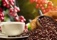 Cà phê Arabica gần đạt mức cao nhất trong hai năm