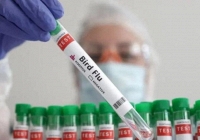 WHO khởi động sáng kiến mới để phát triển vaccine cúm gia cầm mRNA