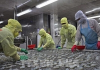 Kinh tế 7 tháng: Nhiều điểm sáng tạo đà tăng trưởng tích cực