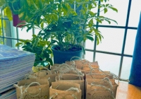 Hành động 'ngược đời' của cô giáo ở TP.HCM trong dịp lễ 20/10 khiến phụ huynh cảm động