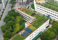 Trường liên cấp duy nhất vừa có học sinh lọt đội tuyển HSG Quốc gia, vừa lọt bảng xếp hạng điểm thi tốt nghiệp cao nhất Hà Nội! 