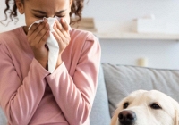 Các nhà khoa học quốc tế đang tìm kiếm những giải pháp nào để ngăn ngừa dị ứng ở trẻ?