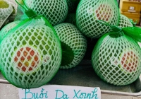 Bưởi da xanh Việt Nam bán ở Mỹ giá đến hơn 500.000 đồng/kg