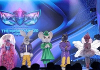 Các chương trình và dàn nghệ sĩ Việt hoãn show sau vụ cháy chung cư, The Masked Singer vẫn lên sóng