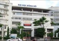 Vụ 431 người mua bằng giả, cựu Hiệu trưởng đại học Đông Đô cùng 9 bị can bị truy tố
