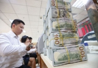 Động thái chào mua ngoại tệ của Kho bạc Nhà nước cho thấy Việt Nam chuyển quan hệ huy động - cho vay sang quan hệ mua bán