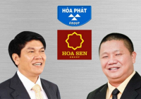 Cổ phiếu ngành thép bị định giá chưa đúng giá trị thực?