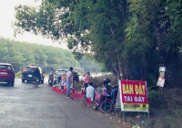 Cơn sốt đất tràn lan đang có dấu hiệu quay trở lại
