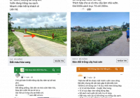 Câu chuyện bỏ phố thị để tìm về với mảnh vườn làm giá đất nông nghiệp Đà Nẵng lao đao