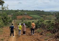 Những vị trí có 'view' gần ruộng, ao, hồ... được săn lùng trong thời gian gần đây