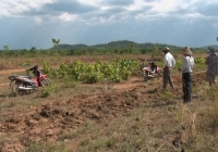 Giới đầu tư bất động sản nhỏ lẻ từ nhiều nơi đã rầm rộ đổ về đây để mua đất khiến giá đất cứ thế nhảy múa loạn nhịp