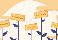 Thực tế đã xuất hiện “lỗ hổng” liên quan phát hành trái phiếu riêng lẻ của doanh nghiệp